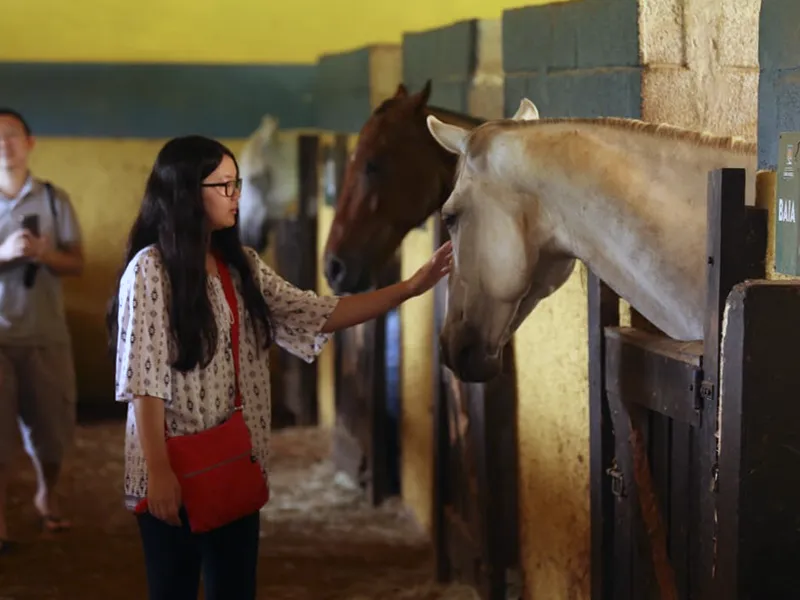 Final de Semana no Hotel Fazenda Santa Mônica no Interior de SP